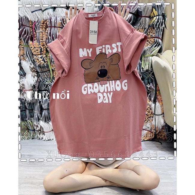 áo thun gấu nâu