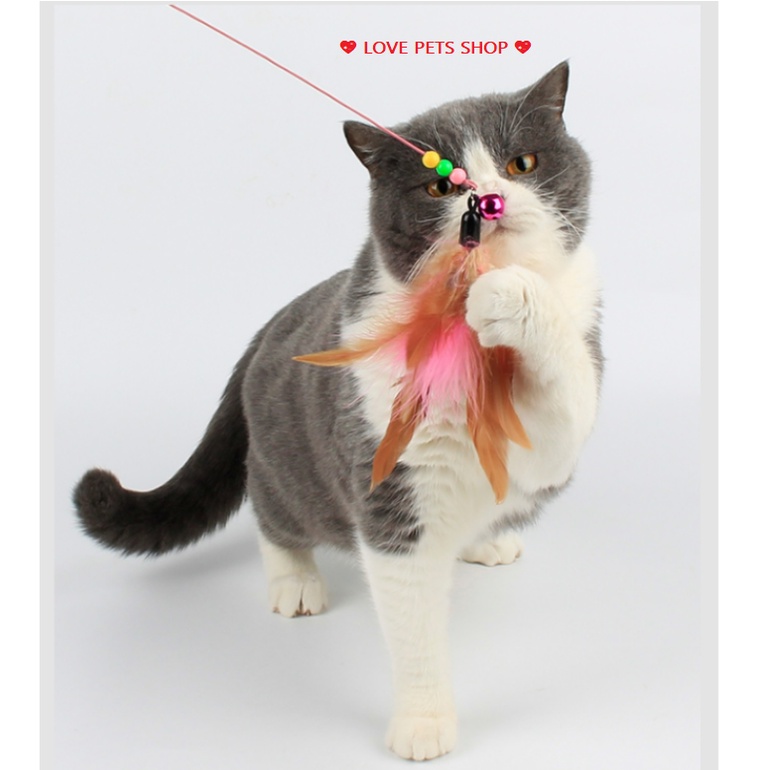 CẦN CÂU MÈO, QUE TRÊU MÈO GẮN LÔNG VŨ VÀ CÁC CON VẬT - LOVE PETS SHOP