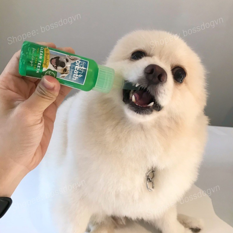 Gel vệ sinh răng chó cưng_Ngăn mảng bám_Hơi thở cún thơm mát - Tropiclean Fresh Breath Clean Teeth Oral Care| BossDog