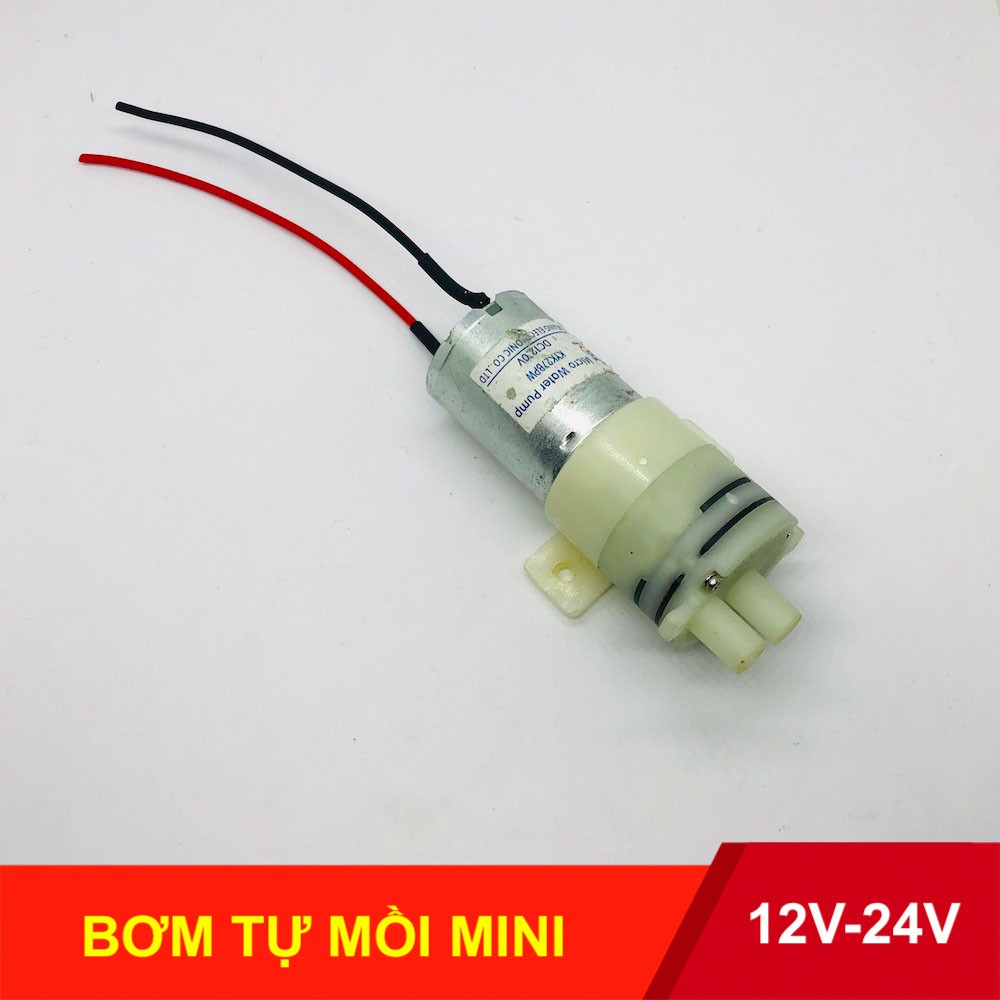 Máy bơm nước mini bơm tự mồi 12V - 24V lưu lượng nhỏ 1 lít phút - LK0243