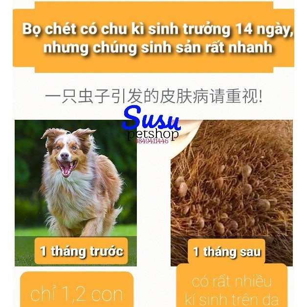 Thuốc Trị Ve Rận Bọ Chét FRONIL EXTRA Nhỏ Gáy cho Chó - 1 tuýt