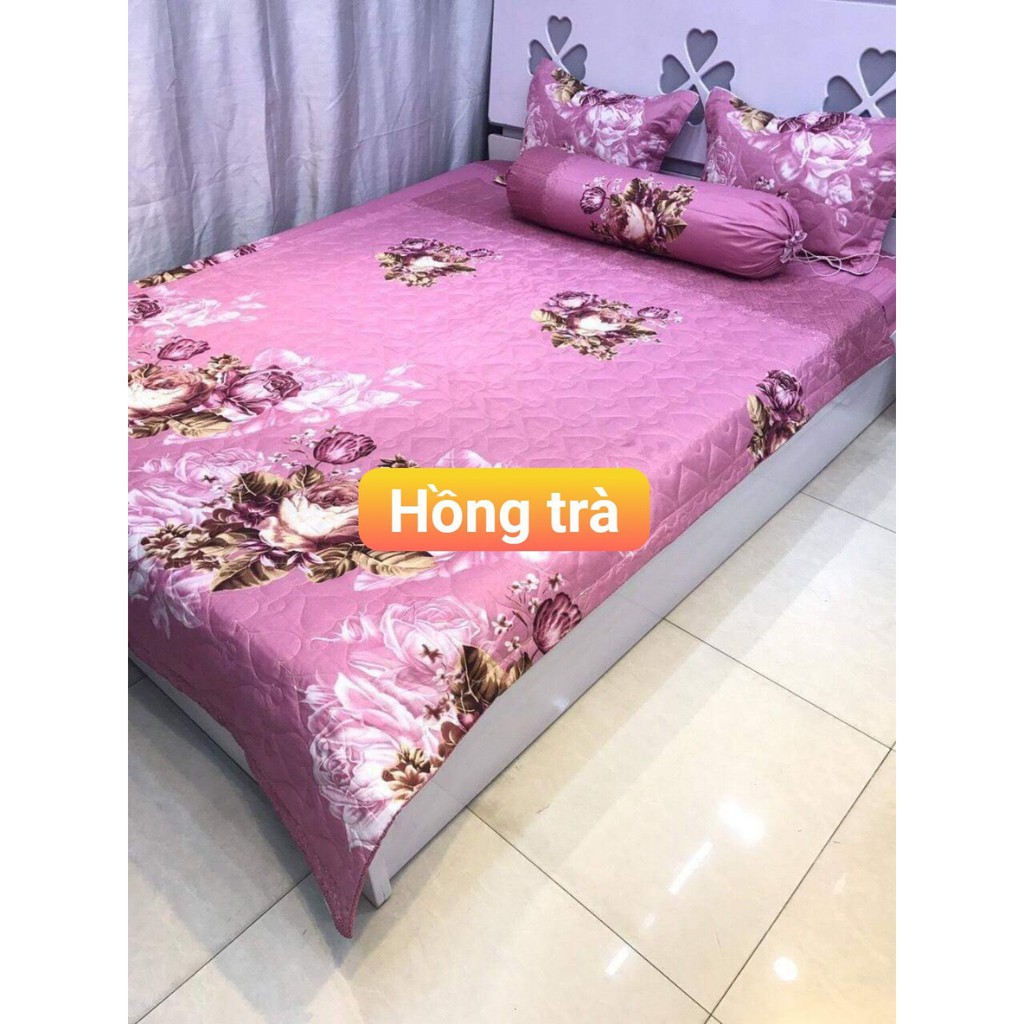 Bộ Ga Gối Nệm 4 Món Tông Màu Tươi Sáng Đầy Đủ Các Size