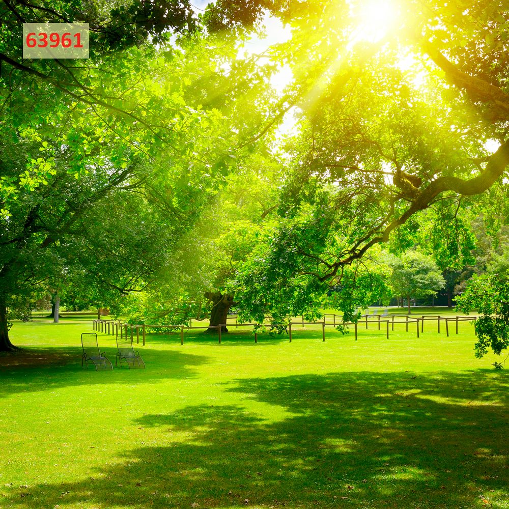 Tranh phong cảnh thiết kế đẹp đa dạng mẫu mã với nhiều phong cách khác nhau