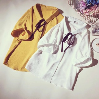 (order k có sẵn, ảnh thật cuối) Áo sơ mi cộc tay cổ nơ