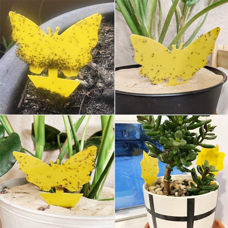 Set 10 Miếng Dán Cánh Tay / Bảng Màu Vàng Hai Mặt Hình Bướm / Hoa Hướng Dương Có Thể Chuyển Đổi Được