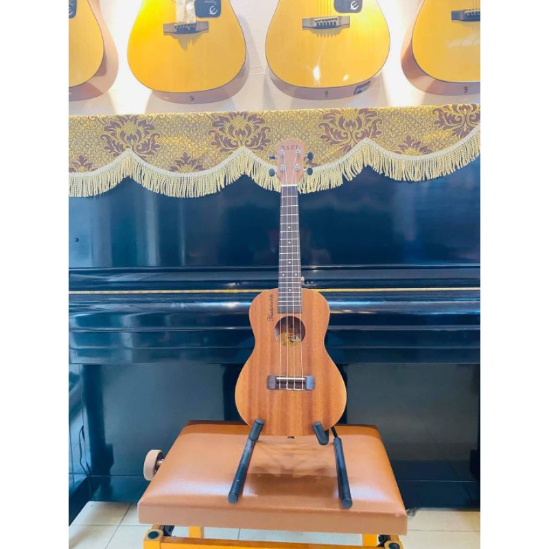 UKULELE concert 436k 436k gỗ thịt ạ .