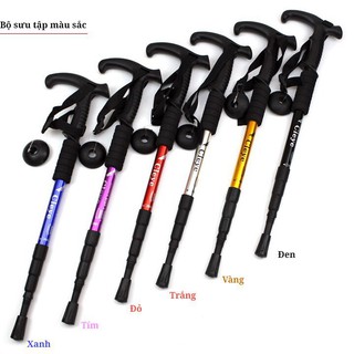 Gậy leo núi đi rừng trekking GA2