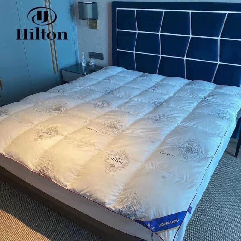RUỘT CHĂN LÔNG VŨ HILTON SIÊU NHẸ, SIÊU ẤP ÁP, MỀM MẠI
