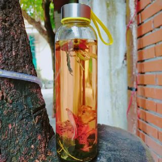 1 GÓI TRÀ DETOX TRÁI CÂY
