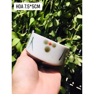 GỐM NHẬT - LY TRÀ NHỎ ĐỒNG GIÁ 30K