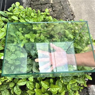 Hồ cá thủy sinh 30-19-20, 36-19-20 Dán dấu keo, Mài  Vi Tính) ,kính 5 ly siêu đẹp