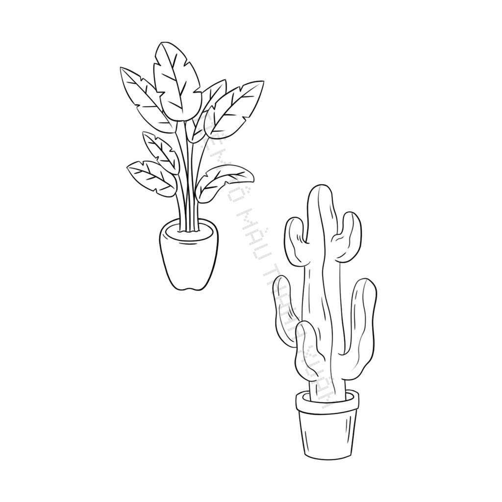 Set 10 Tờ Tranh Tô Màu Chậu Cây Tô Màu Sáp, Màu Chì - Tiệm Tô Màu Thanh Xuân