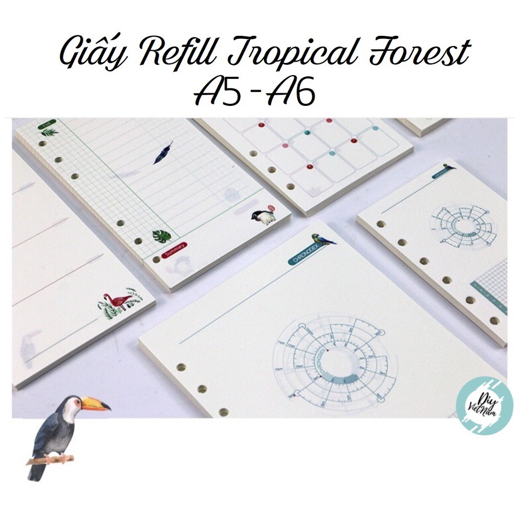 GIẤY REFILL TROPICAL FOREST A5, A6 (RESTOCK)