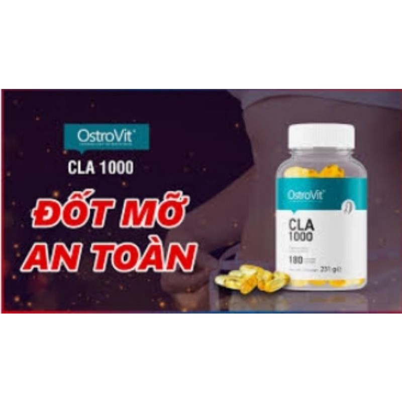 Viên Uống Giảm Mỡ Tự Nhiên Ostrovit CLA 1000mg 180 Viên TẠI WHEYSINHVIEN.COM WHEY SINH VIÊN