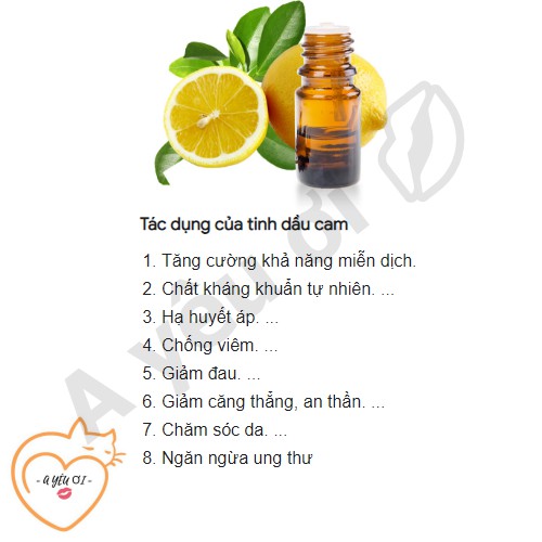 Nến Thơm Phòng Ngủ, Tăng Ham Muốn Nam Nữ, Hỗ TRợ Sinh Lý, Quan Hệ Tình Dục, Khử Mùi - Nến Thơm Tinh Dầu, Hoa Khô