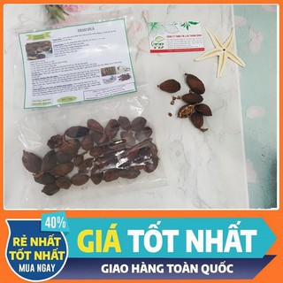Thảo Quả 100g - Dược Liệu Sấy Khô Loại 1