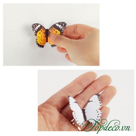 [FREE SHIP] Set bướm 3D 19 con có xốp dán 2 mặt siêu đáng yêu