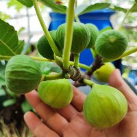 Bách Hóa Giá Sỉ HCM