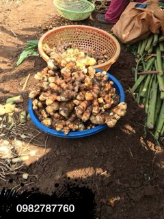Tinh bột nghệ vàng