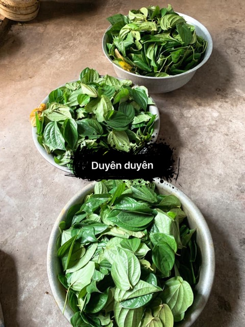Dung dịch vệ sinh phụ nữ thảo mộc