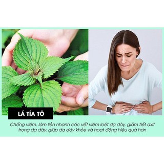 Bột Tía Tô Behena 50g