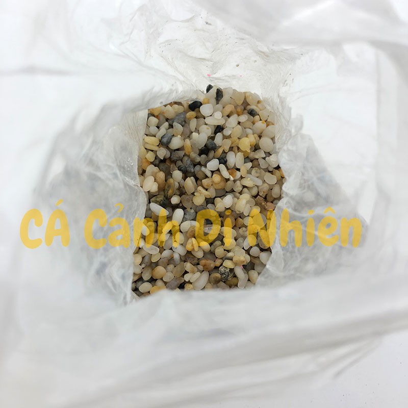 Bịch sỏi 3 màu  size 0.5cm - 1000G trang trí hồ cá cảnh