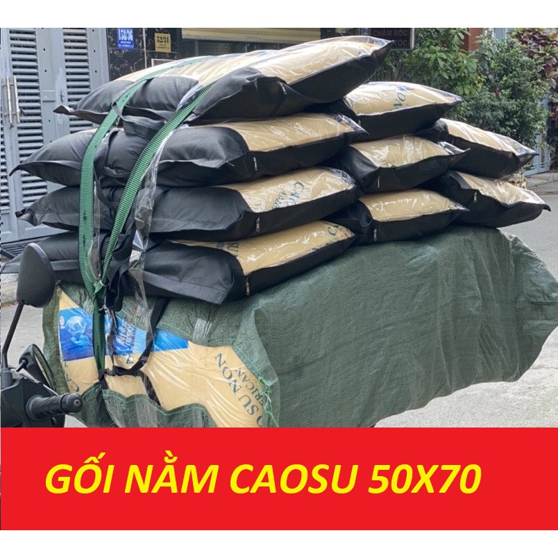 GỐI NẰM CAO SU KT 50X70 GỐI CAO SU CAO CẤP