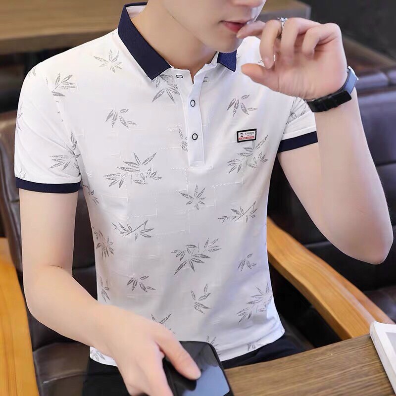 Áo thun cổ bẻ polo cao cấp vải thun cotton siêu co dãn hàng chuẩn shop Phuongnamshop20 kve31