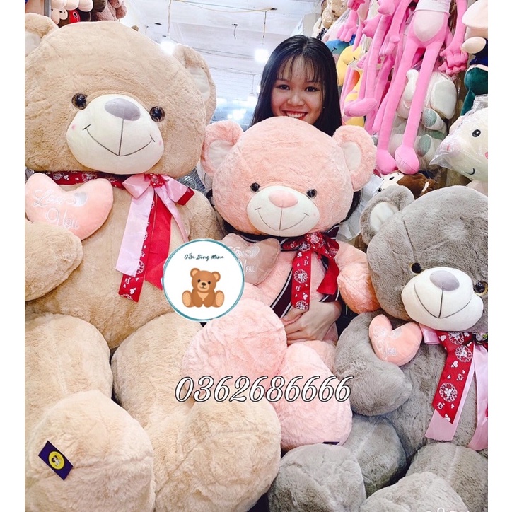 Gấu Bông Teddy Tim Lệch Đeo Nơ Cao Cấp - Gấu Bông Mina