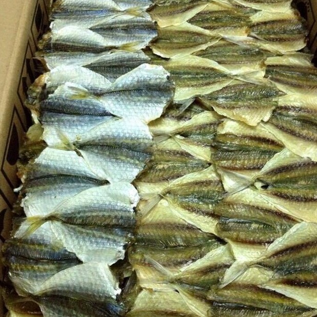 Cá chỉ vàng khô 100gram loại to ngon