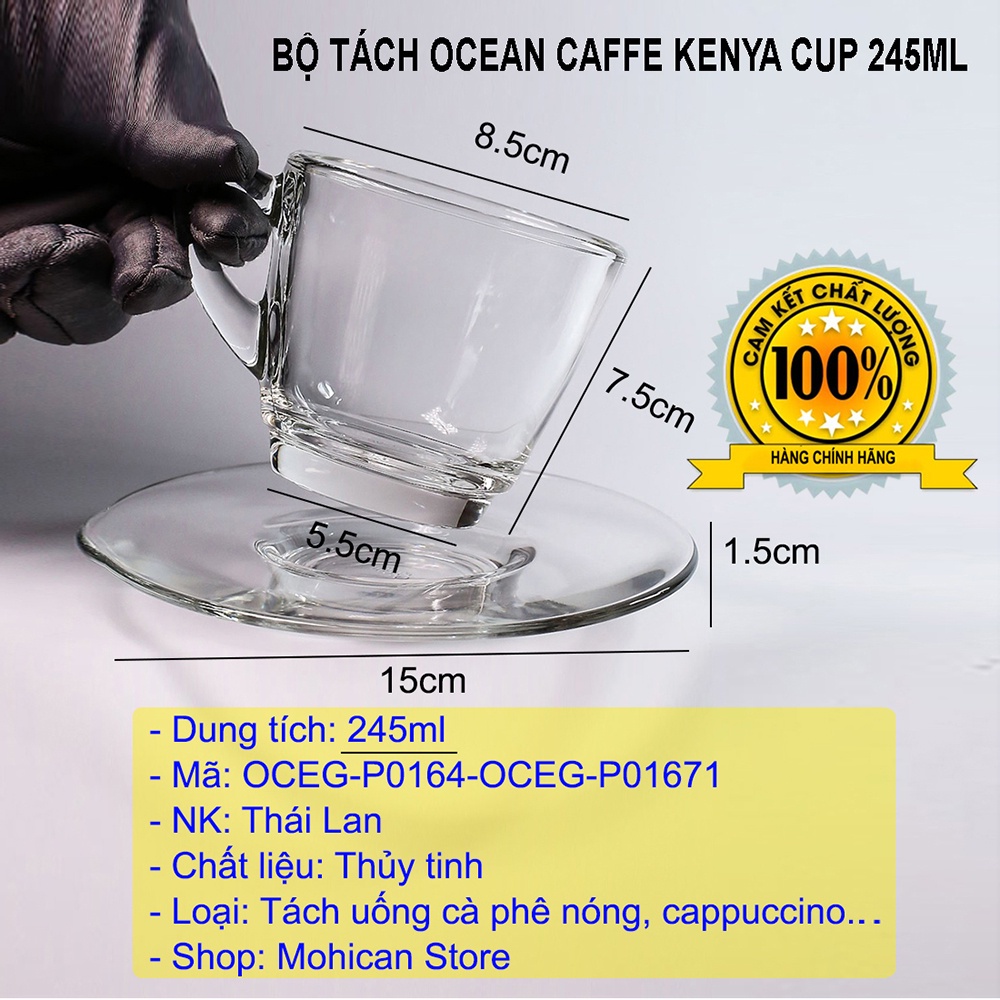 Ly thủy tinh có quai Ocean Café Kenya Cup 245ml, cốc thủy tinh đẹp uống đồ nóng, cà phê, nhập khẩu Thái Lan OCEG-P01641