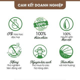 Tinh dầu Húng Quế Mộc Thủy 100ml