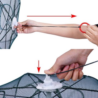 Lưới bát Quái bắt cá,tôm,cua,lươn,trạch