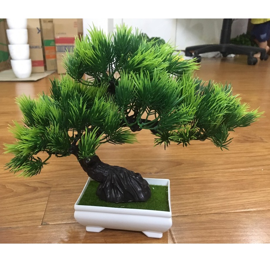 Chậu Cây Thông Xanh Bonsai Giả Để Bàn, trang trí kệ treo tường, giá sách, decor