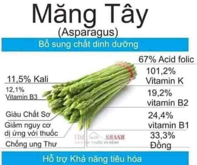 Hạt giống măng tây xanh dễ trồng