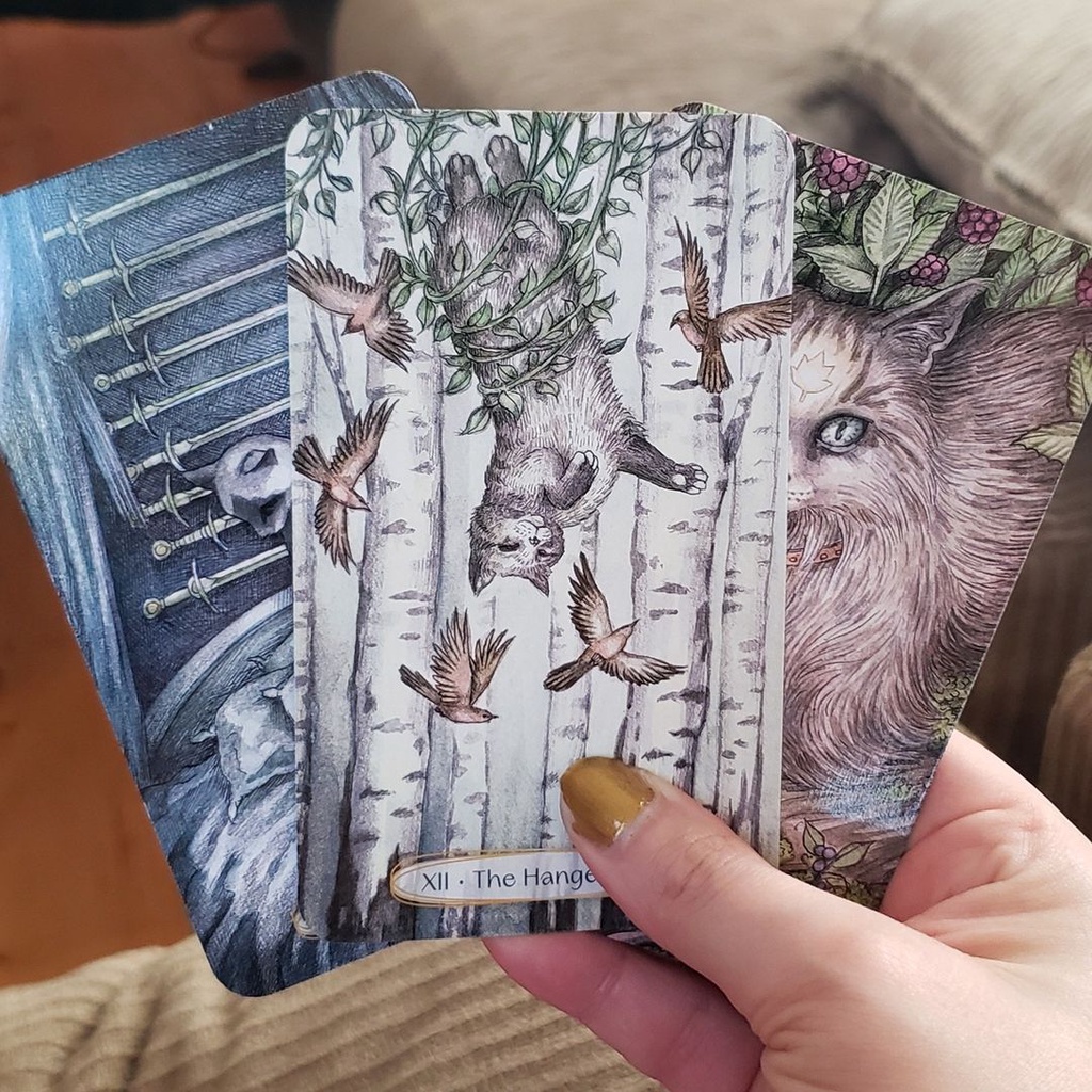 Bài Soul Cats Tarot