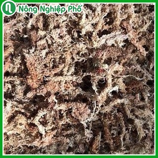 Dớn mềm Chile Moss trồng lan - Gói 100 gram