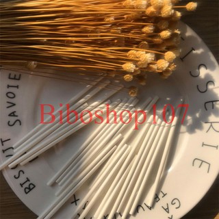 Que tròn bằng giấy an toàn làm bánh kẹo, thạch rau câu 15cm
