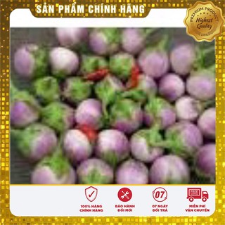 Hạt Giống Cà Pháo Tím(2 gr)