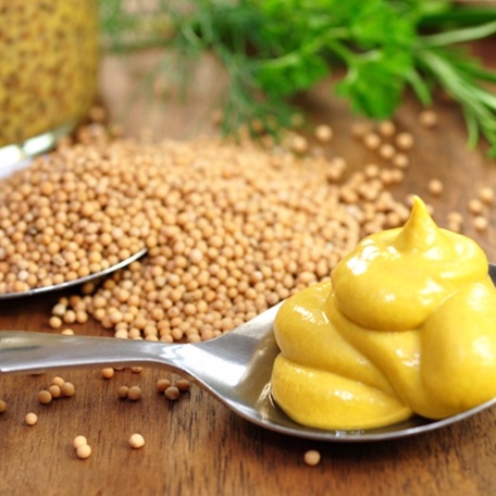 [100g-500g] Hạt mù tạt vàng Ấn Độ cao cấp thơm ngon - Yellow Mustard Seed