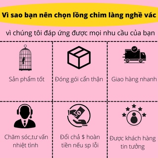 Combo 3 cóng gỗ mun chào mào