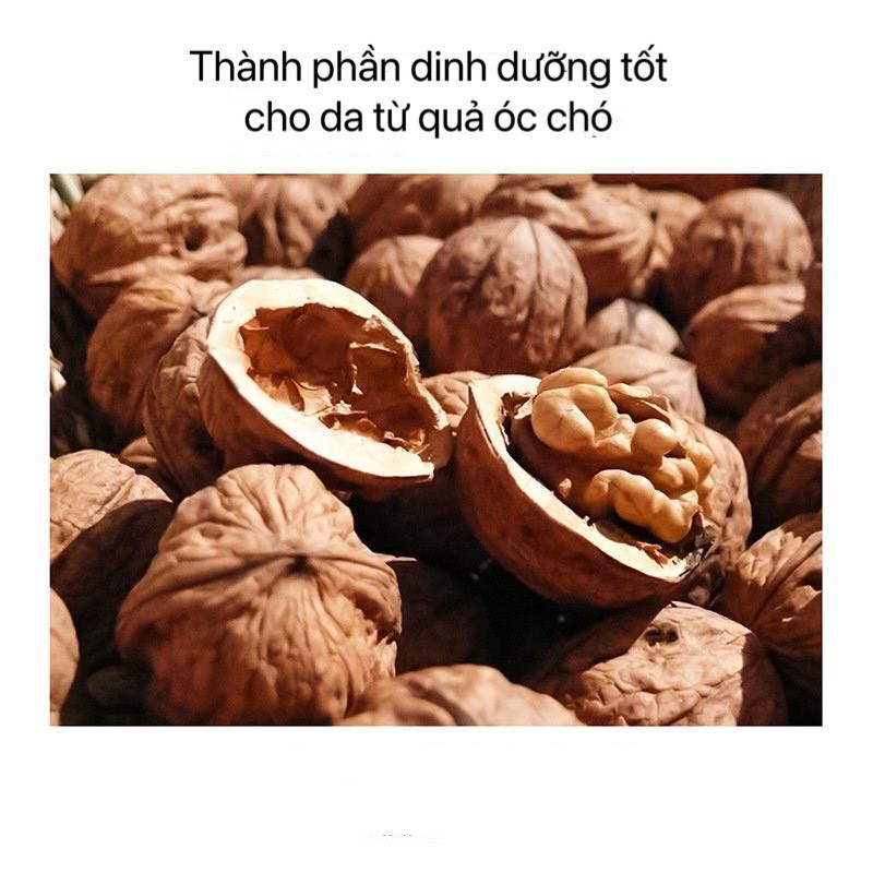 Tẩy Tế Bào Chết Toàn Thân Thành Phần Bơ Hạt Mỡ Hạt Óc Chó Dưỡng Ẩm Sáng Da Da Căng Mịn 250g | BigBuy360 - bigbuy360.vn