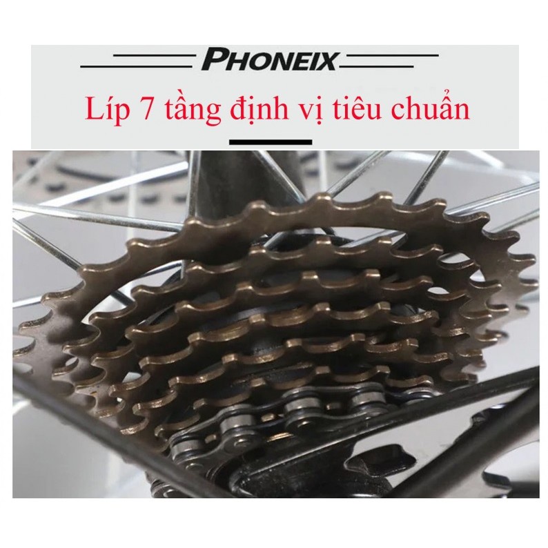 XE ĐẠP PHƯỢNG HOÀNG DÀNH CHO NỮ 24 INCH