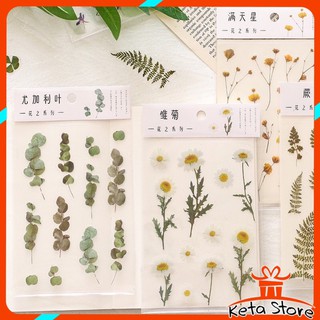 Sticker hình hoa khô trang trí sổ Bullet Journal, ốp điện thoại