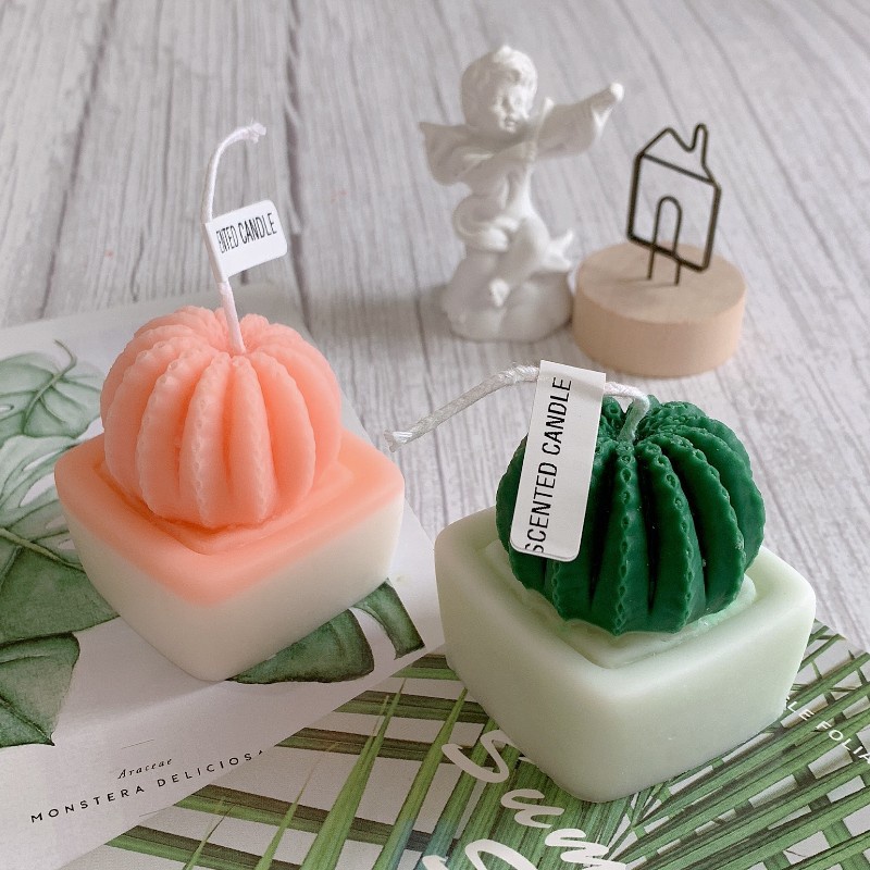 NẾN THƠM HANDMADE HÌNH CON CIU DỄ DƯƠNG, HÌNH CÂY XƯƠNG RỒNG LÀM QUÀ TẶNG, TRANG TRÍ, THƯ GIÃN – 70G KÈM HỘP