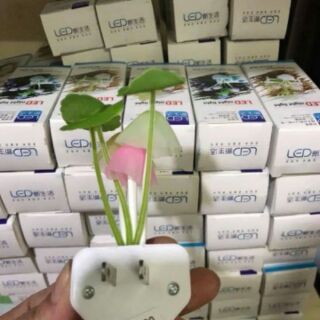Đèn  ngủ  Cây nấm