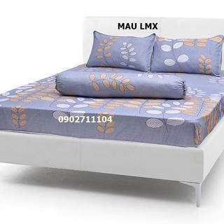 Bộ ga gối cotton nhiều mẫu