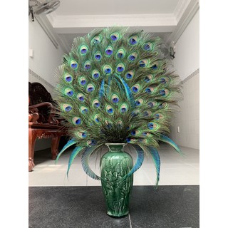 68 Nhánh Lông Công Phong thuỷ lẻ loại 3