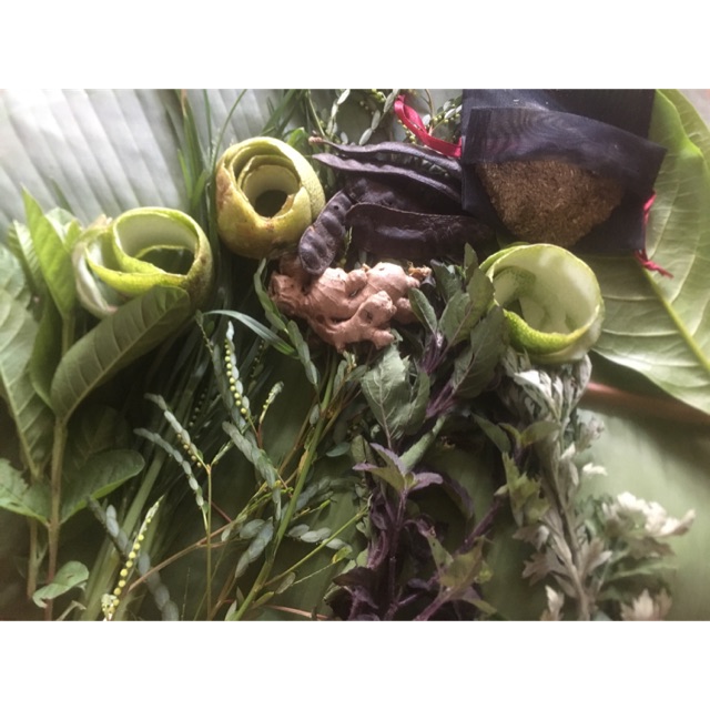 Bột bồ kết