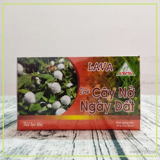 Trà cây nở ngày đất lava hỗ trợ bệnh gout hộp 30 túi lọc